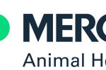 Vet MERCK_A4_template_pref