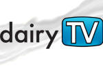 dairy TV banner